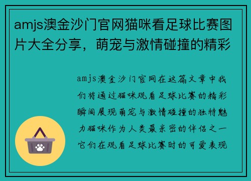 amjs澳金沙门官网猫咪看足球比赛图片大全分享，萌宠与激情碰撞的精彩瞬间